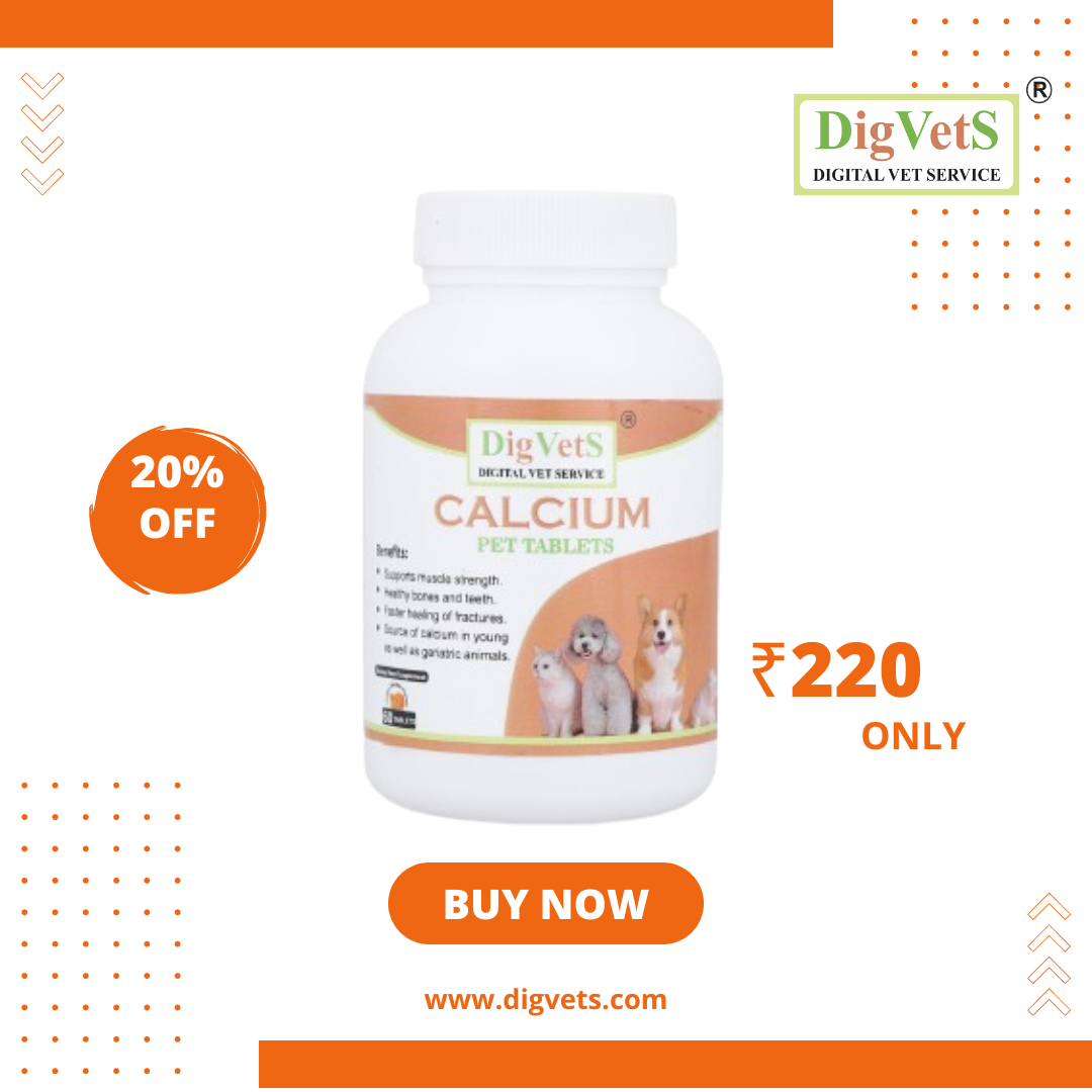 DigVetS Calcium Pet Tablets