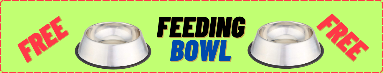 Feeding Bowl